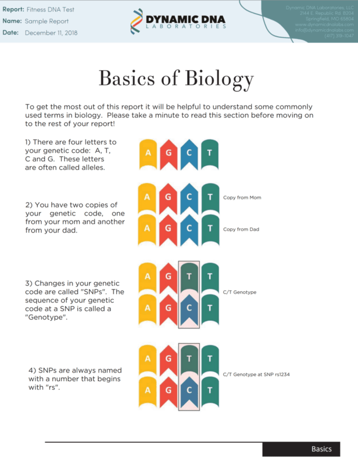 Sample report covering the basics of biology