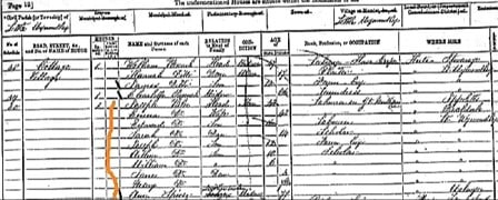 Example of a census record