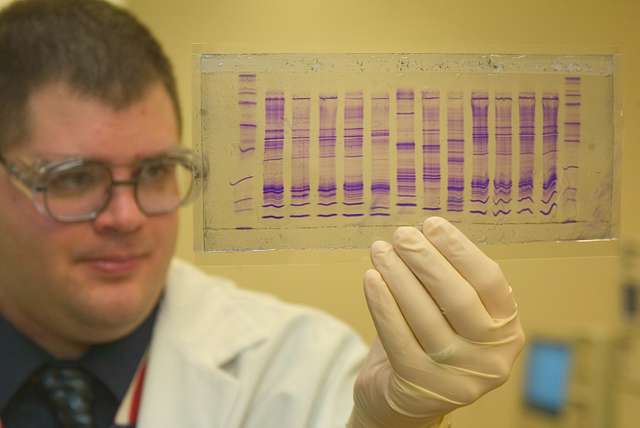 A chemist looking at DNA results