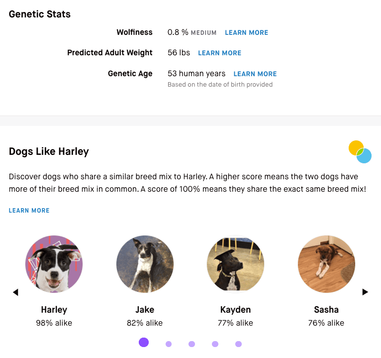 Example of Embark genetic stats and breed mix matches