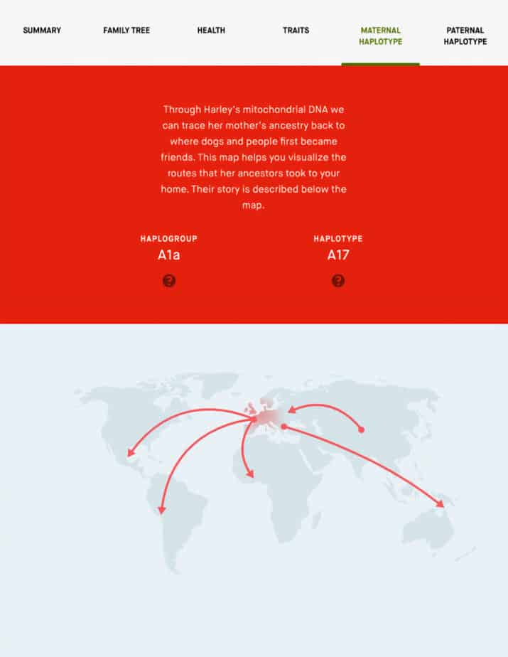 Description of a dog's mitochondrial DNA and a world map showing the route of ancestors through history