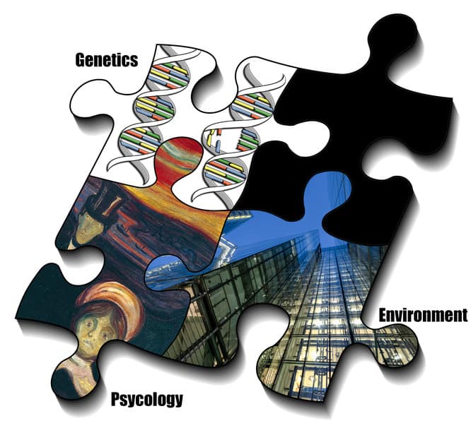 puzzle pieces showing the causes of depression