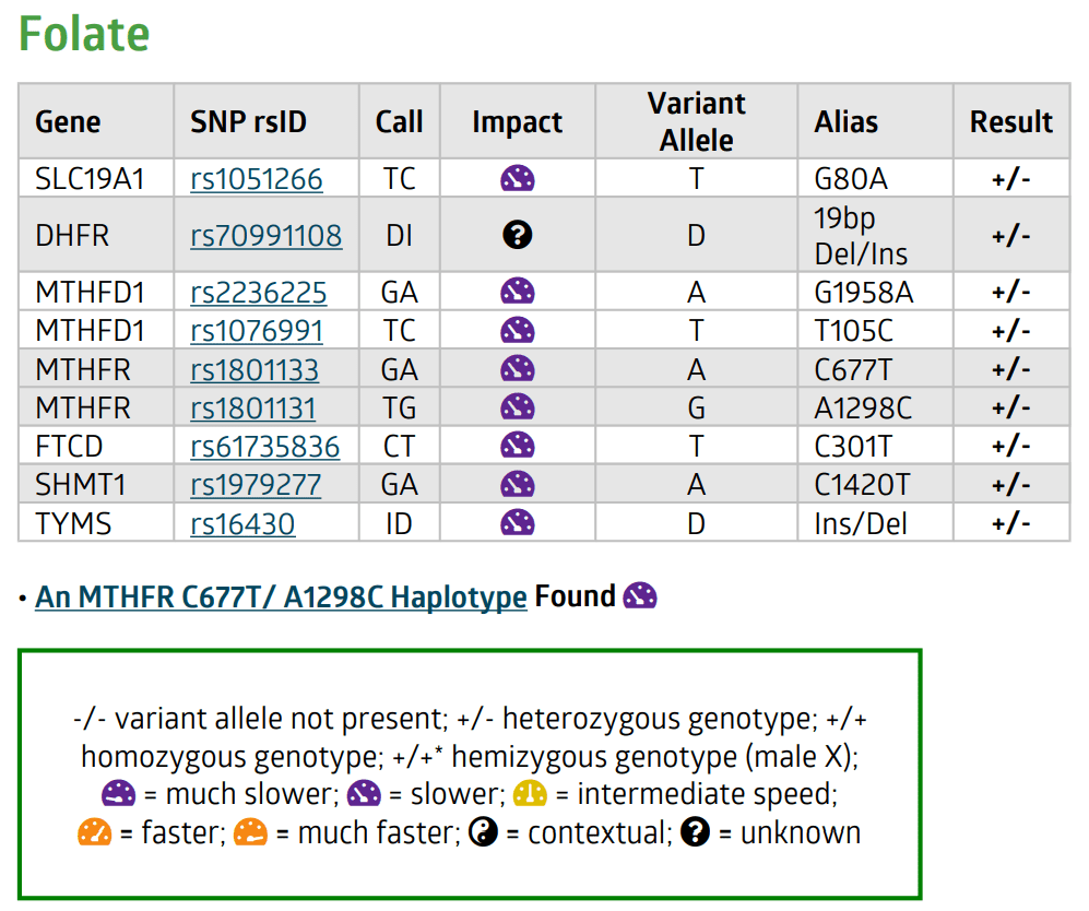 Folate summary