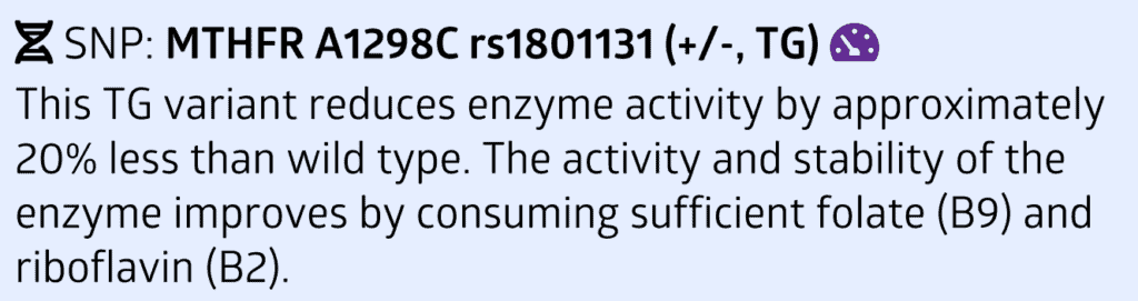 A notable MTHFR gene variant