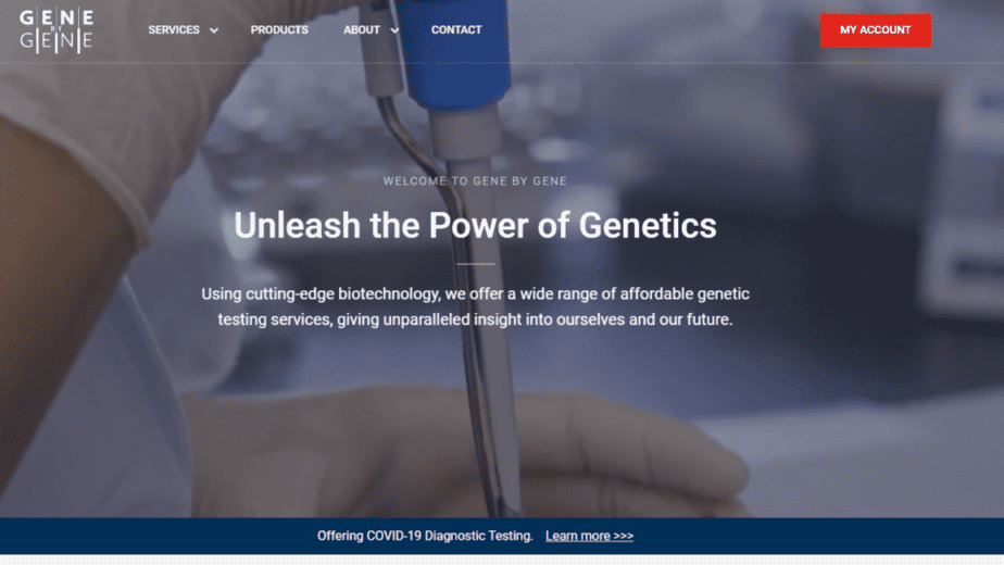 GenebyGene homepage