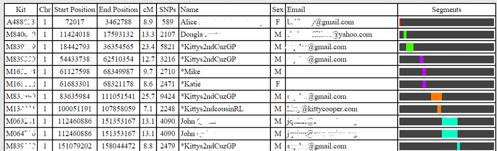 Tabelle mit einer Liste möglicher Übereinstimmungen in Gedmatch Genesis mit ihrer Kit ID, Zentimorgans, etc. und Segmentübereinstimmungen