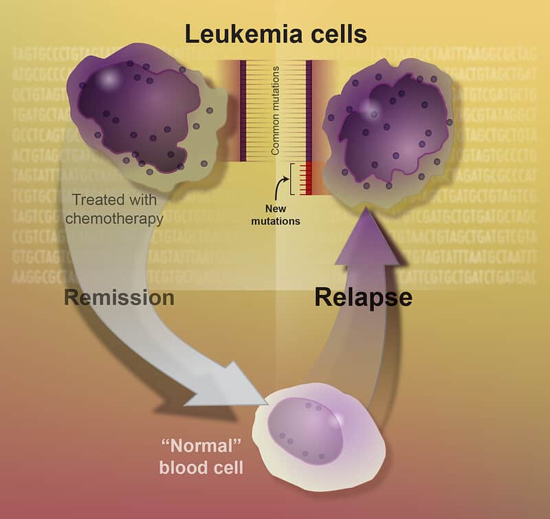 Relapsing cancer cells