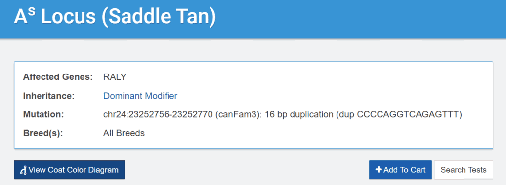 Saddle Tan coat color gene