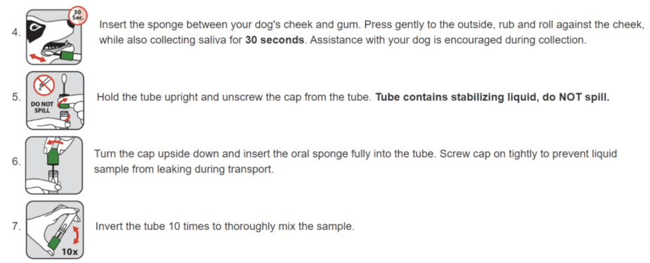 Taking a Paw Print Genetics sample