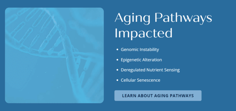 Aging pathways impacted list