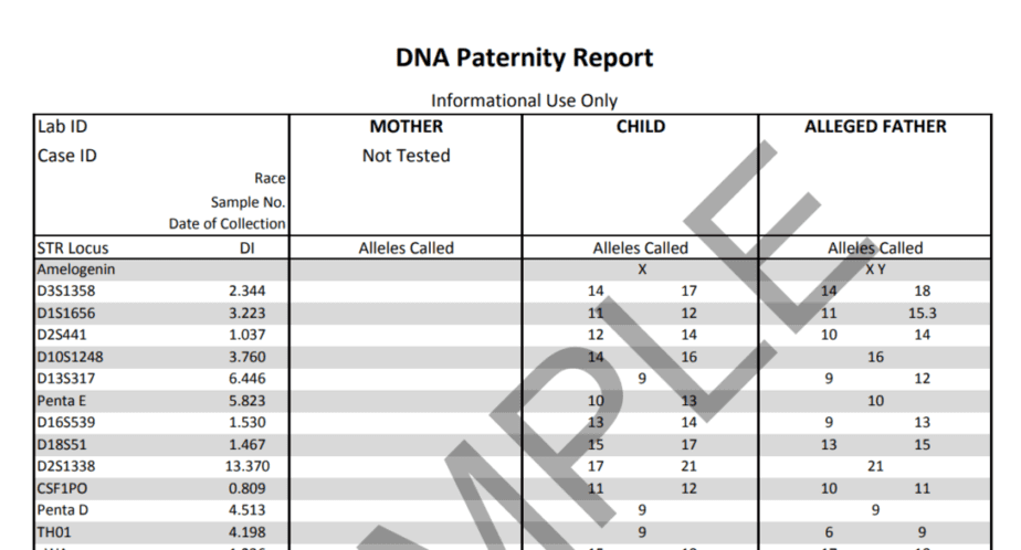 Sample paternity report