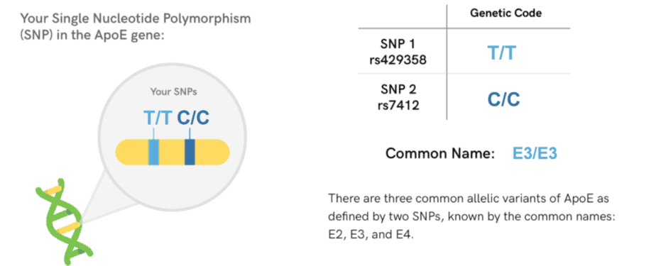 Sample myDNAge genetic variant