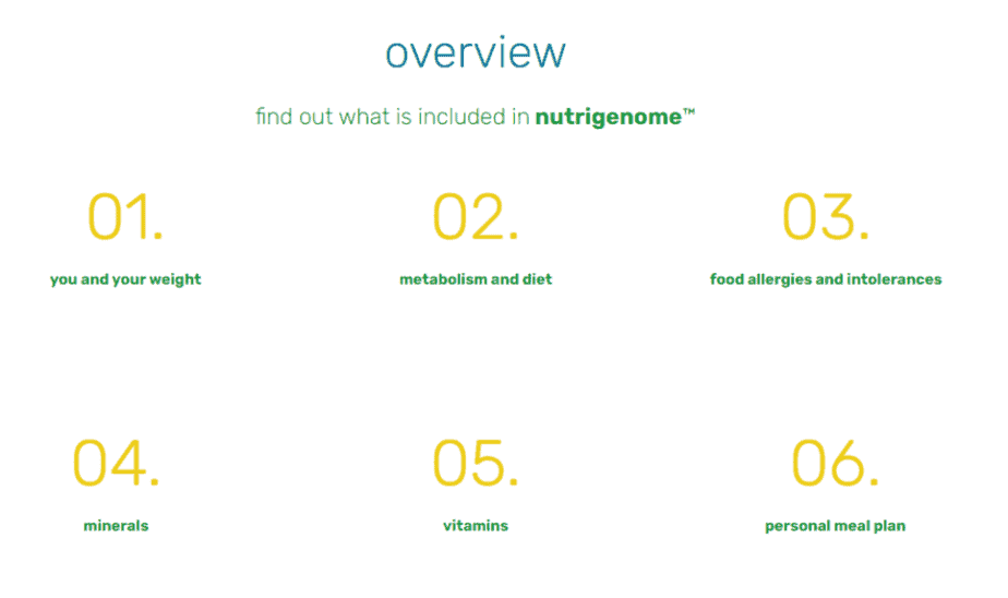 Nutrigenome overview