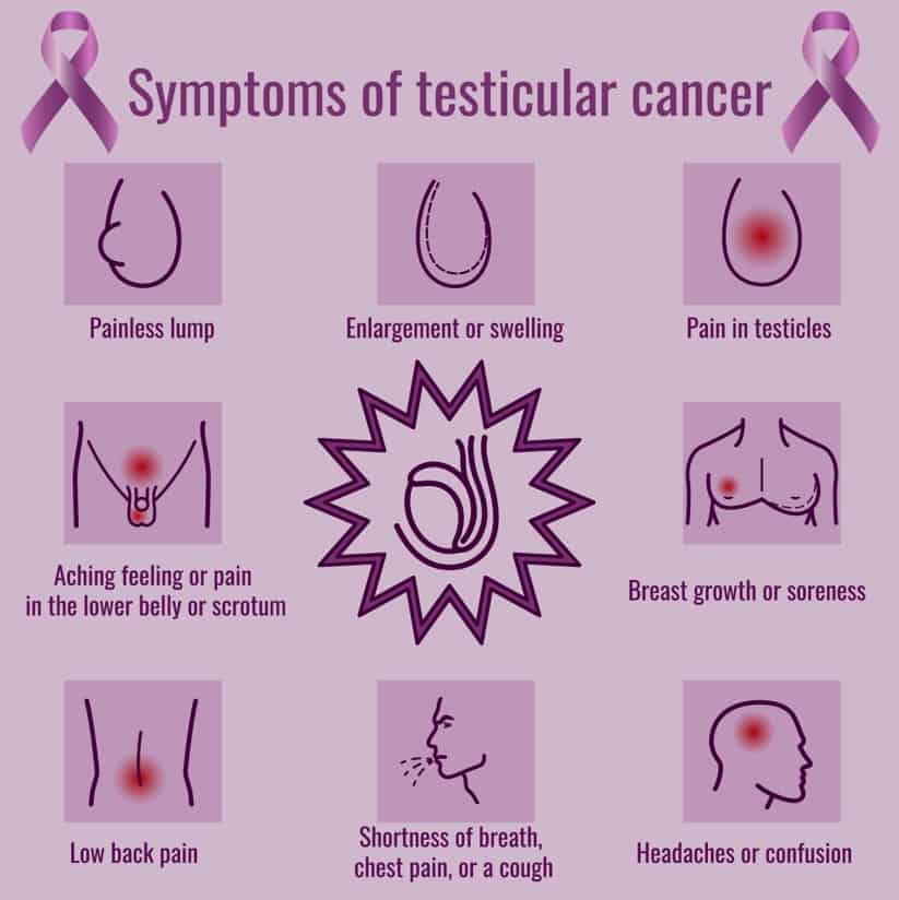 Testicular cancer symptoms