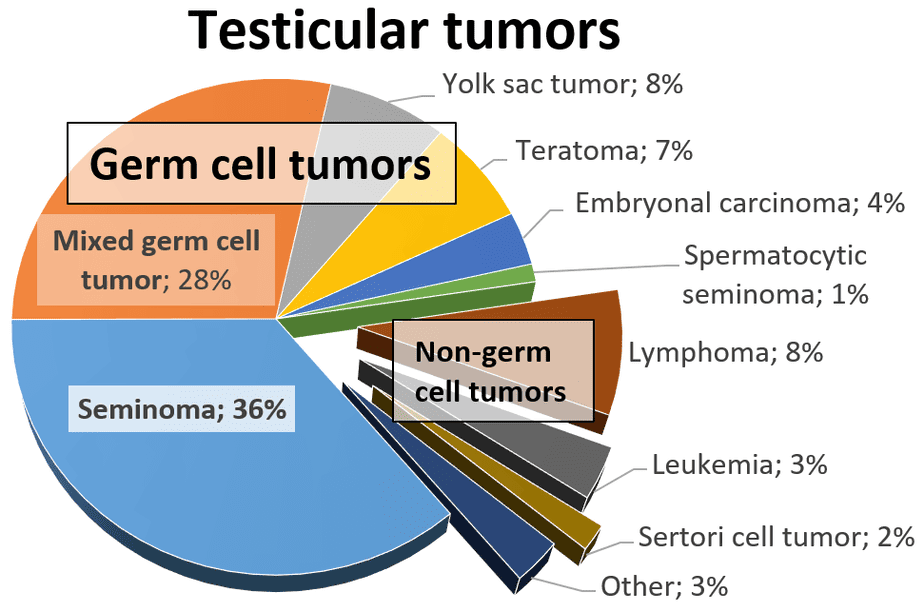 Relative incidences of testicular tumors