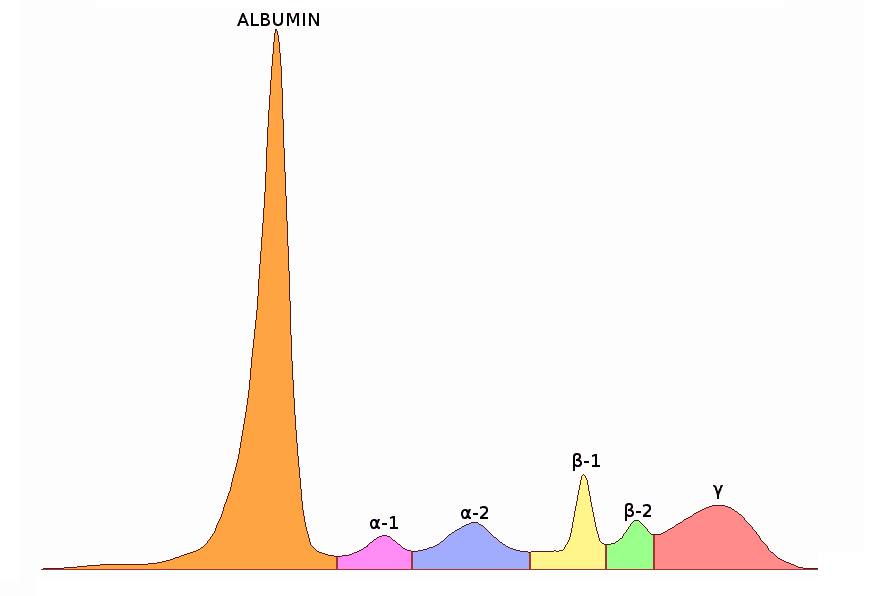 Measuring proteins