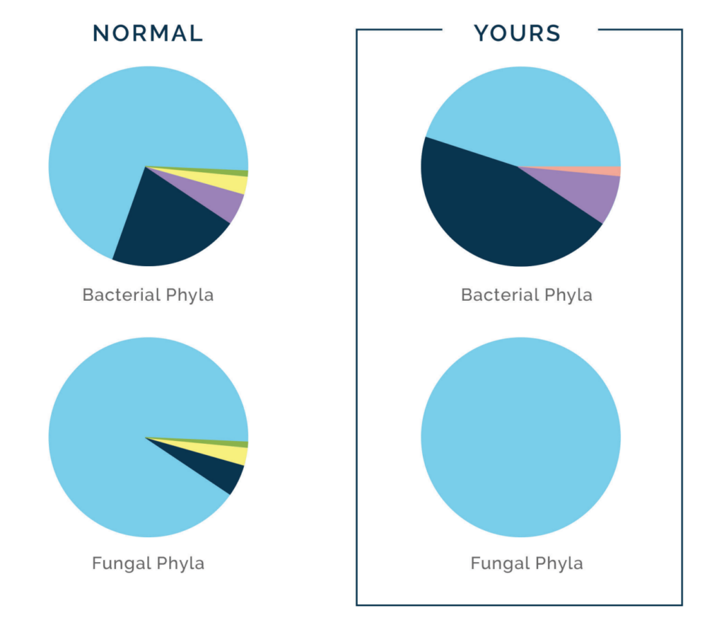 Bacterial composition of the gut