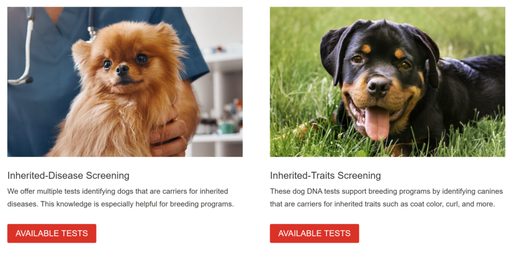 Animal DNA testing