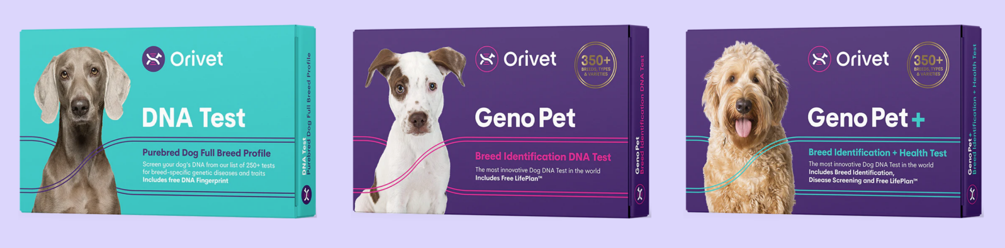 Orivet review 7 facts you should know [SEPTEMBER 2023]