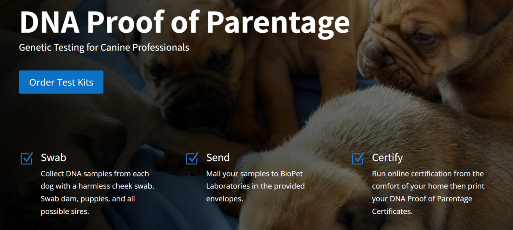 Dog parentage 2024 dna test