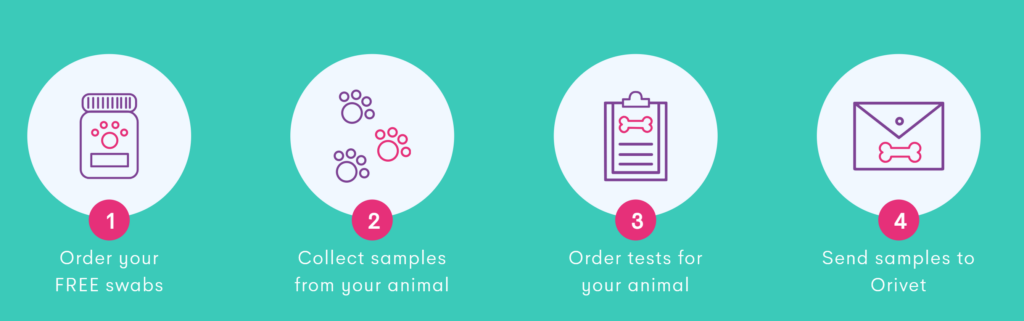 Orivet dna best sale test review