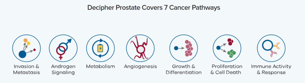 Seven cancer pathways analyzed with the Decipher genetic test for prostate cancer